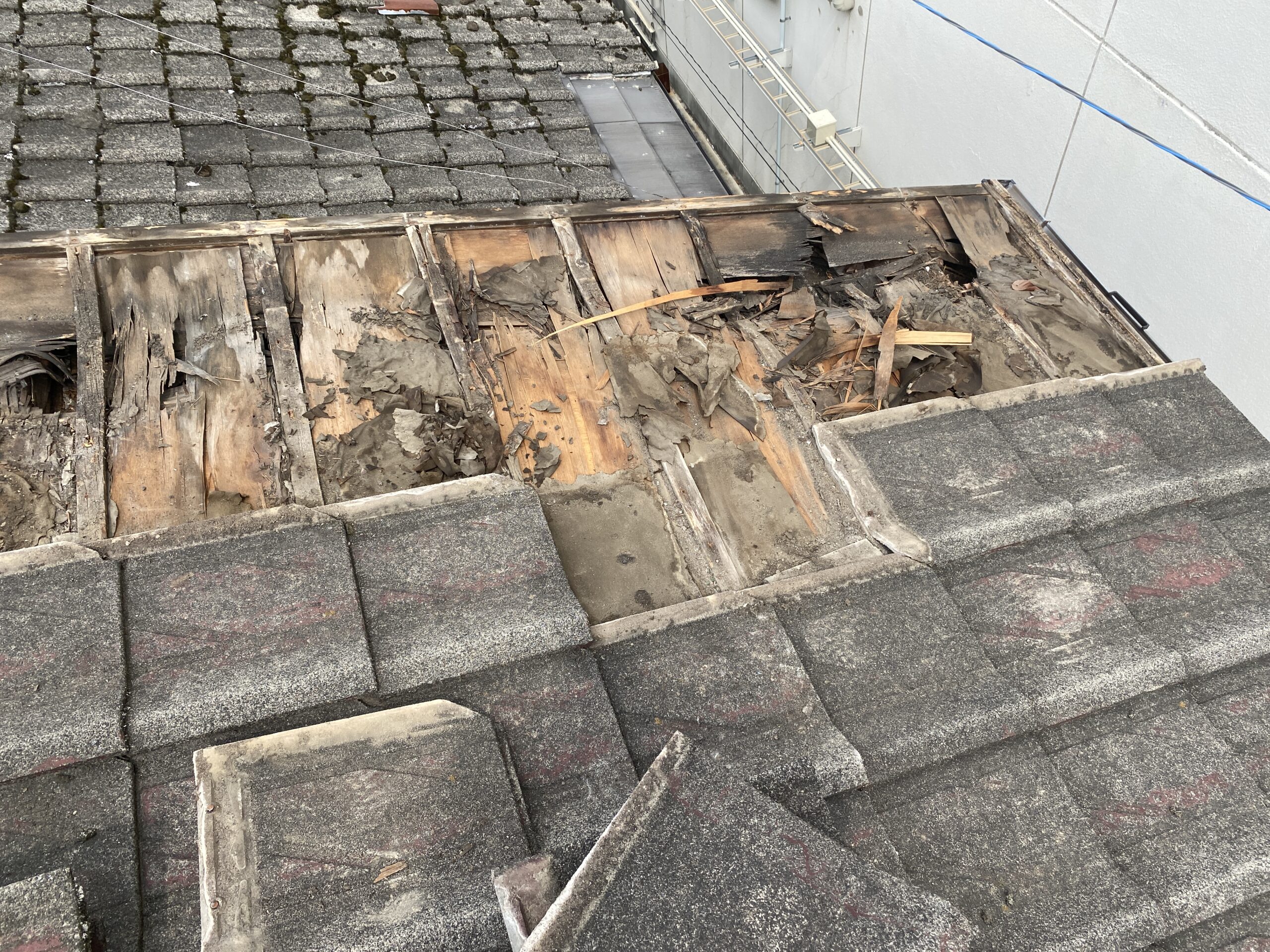 Before image