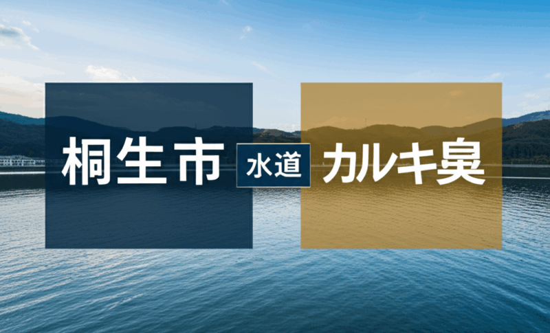 【実録】桐生市の水道水、地域で全然違う！カルキ臭を3つの方法で完全解決